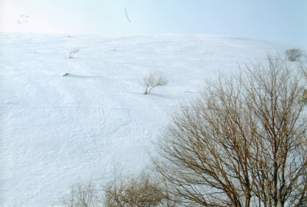 M.subasio Vers.ne  Marzo 2005