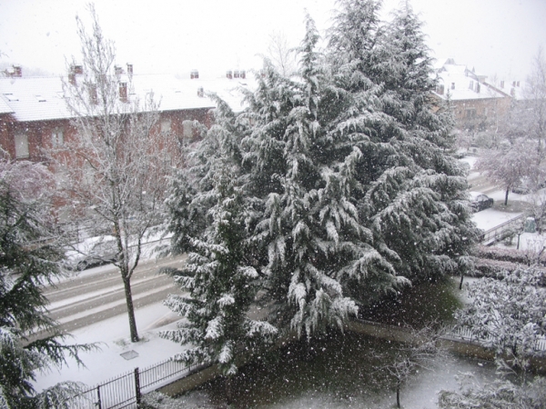 Marzo 2007 2