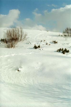 Monte Serrone Marzo 2005