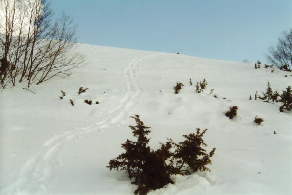Monte Serrone Marzo 2005
