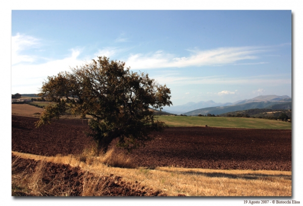 Near Colfiorito