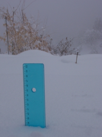 Neve 1 Febbraio 2012: 37,5 Cm Neve 1 Febbraio 2012: 37,5 Cm