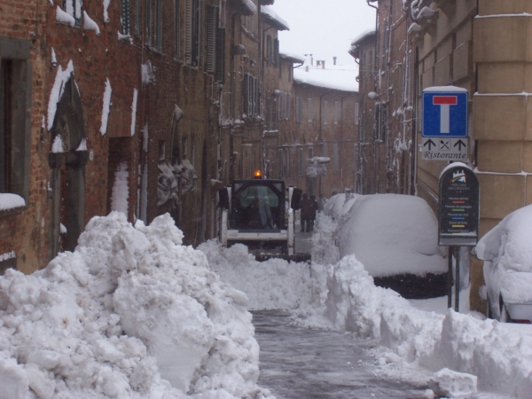 Neve 1 Febbraio 2012 Quater