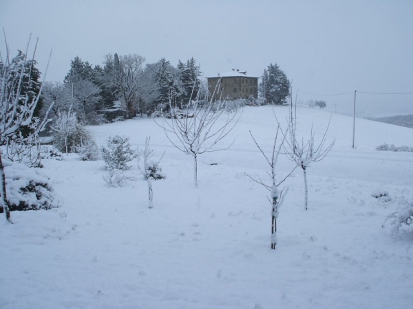 Neve_21_03_2009_5