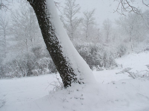 Neve_21_03_2009