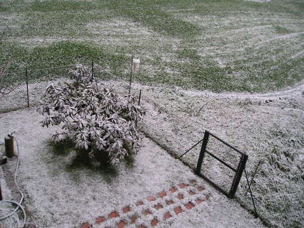 Neve 26 Gennaio 2007 012