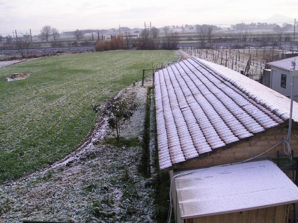 Neve 26 Gennaio 2007 014