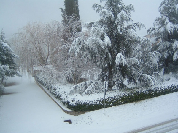 Nevicata 23 Febbraio 2005 - 3