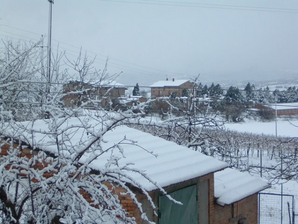 Nevicata 23 Febbraio 2005 - 5 Nevicata 23 Febbraio 2005 - 5