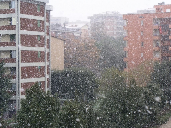Nevicata Del 15/12 - 002