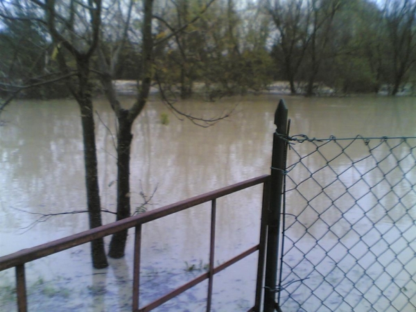Piena Tevere a Pretola
