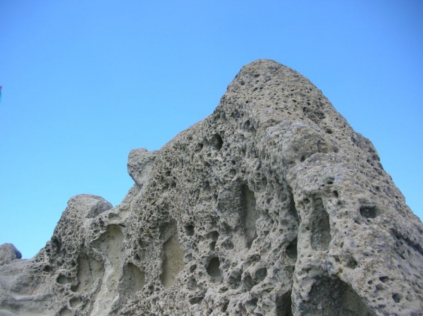 Resized Dscn9551 Resized Dscn9551