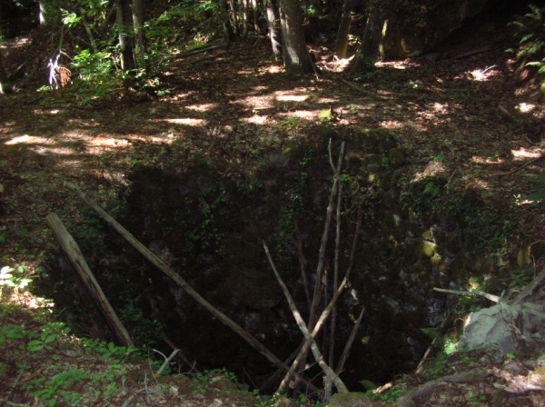 Resized Dscn9585 Resized Dscn9585