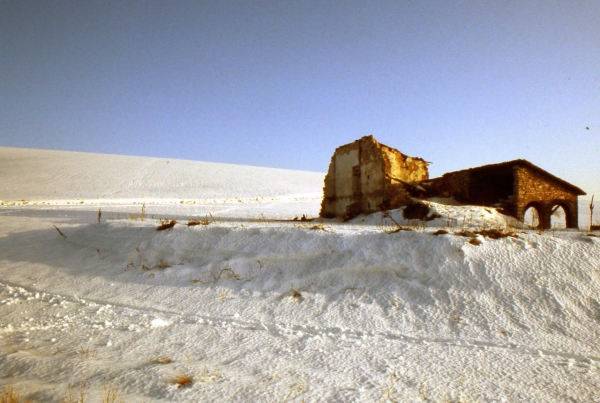Rudere Di Cascina M.pale-febbraio 1983-