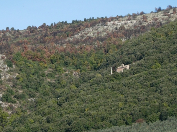 Santuario della Madonna del Riparo - Foligno Santuario della Madonna del Riparo - Foligno