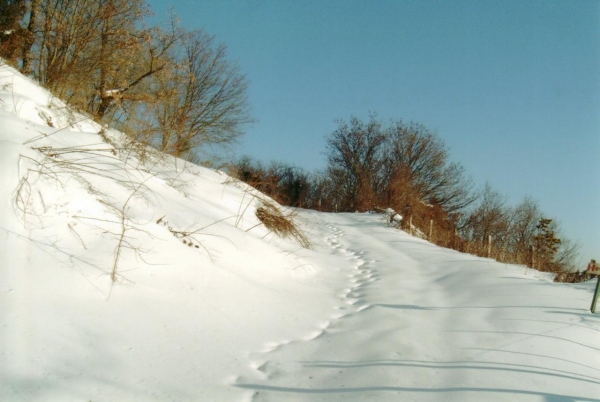 Sentiero Per Fonte Bregno(subasio) Marzo 2005