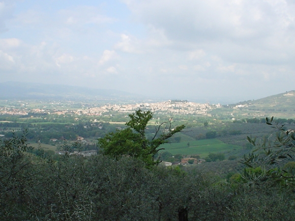 Spello