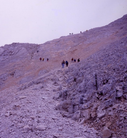 Sul Pendio Sommitale Del Corno Grande