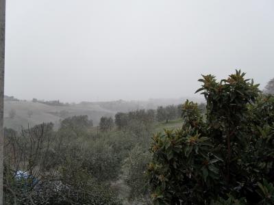 sam_0603